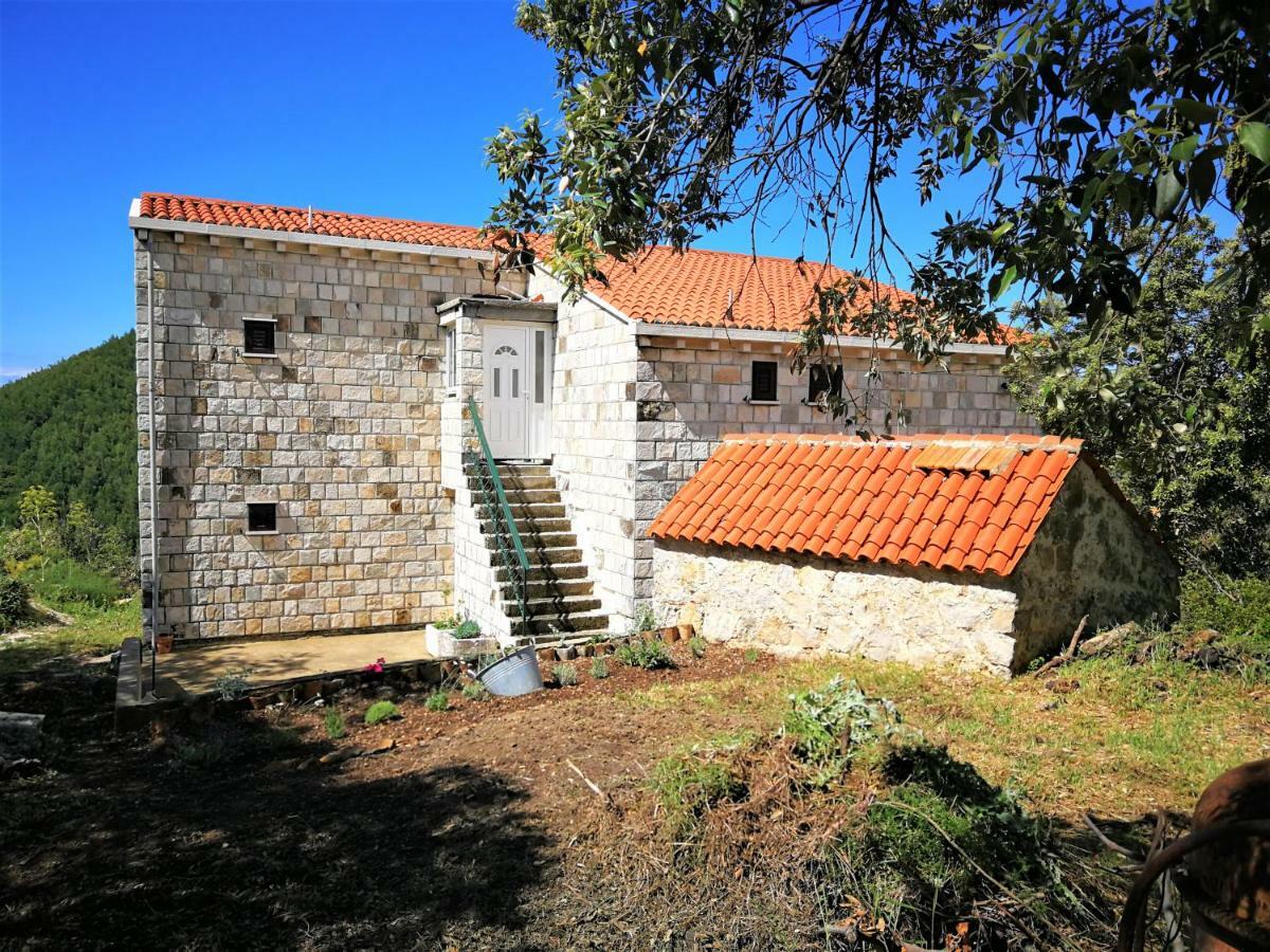 Countryside Vacation House Vitez Babino Polje Екстериор снимка