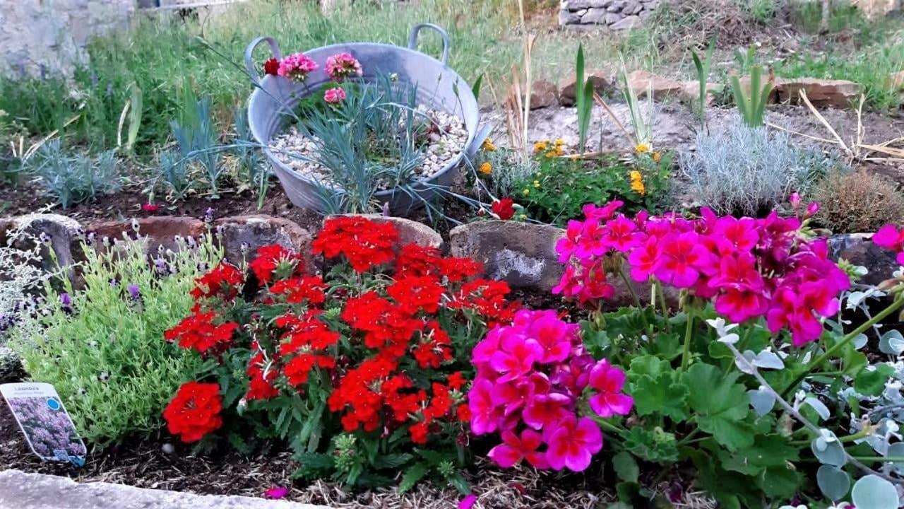 Countryside Vacation House Vitez Babino Polje Екстериор снимка