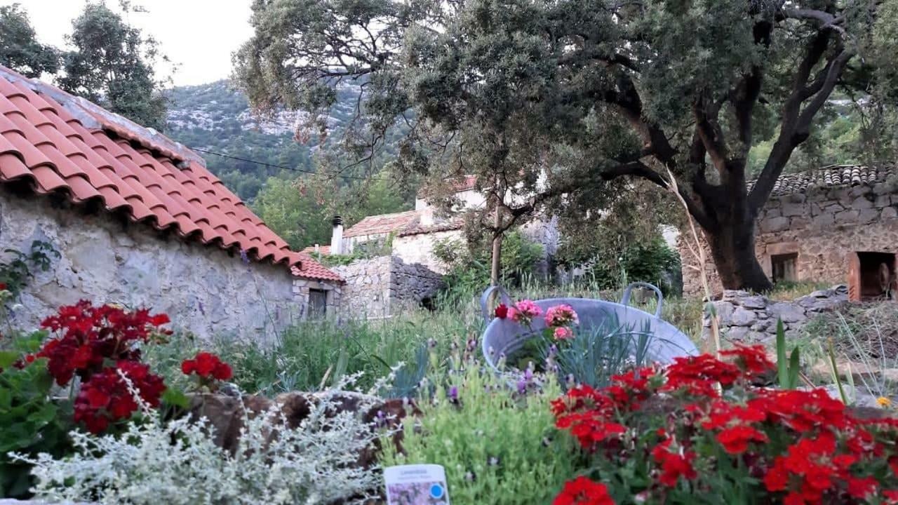 Countryside Vacation House Vitez Babino Polje Екстериор снимка